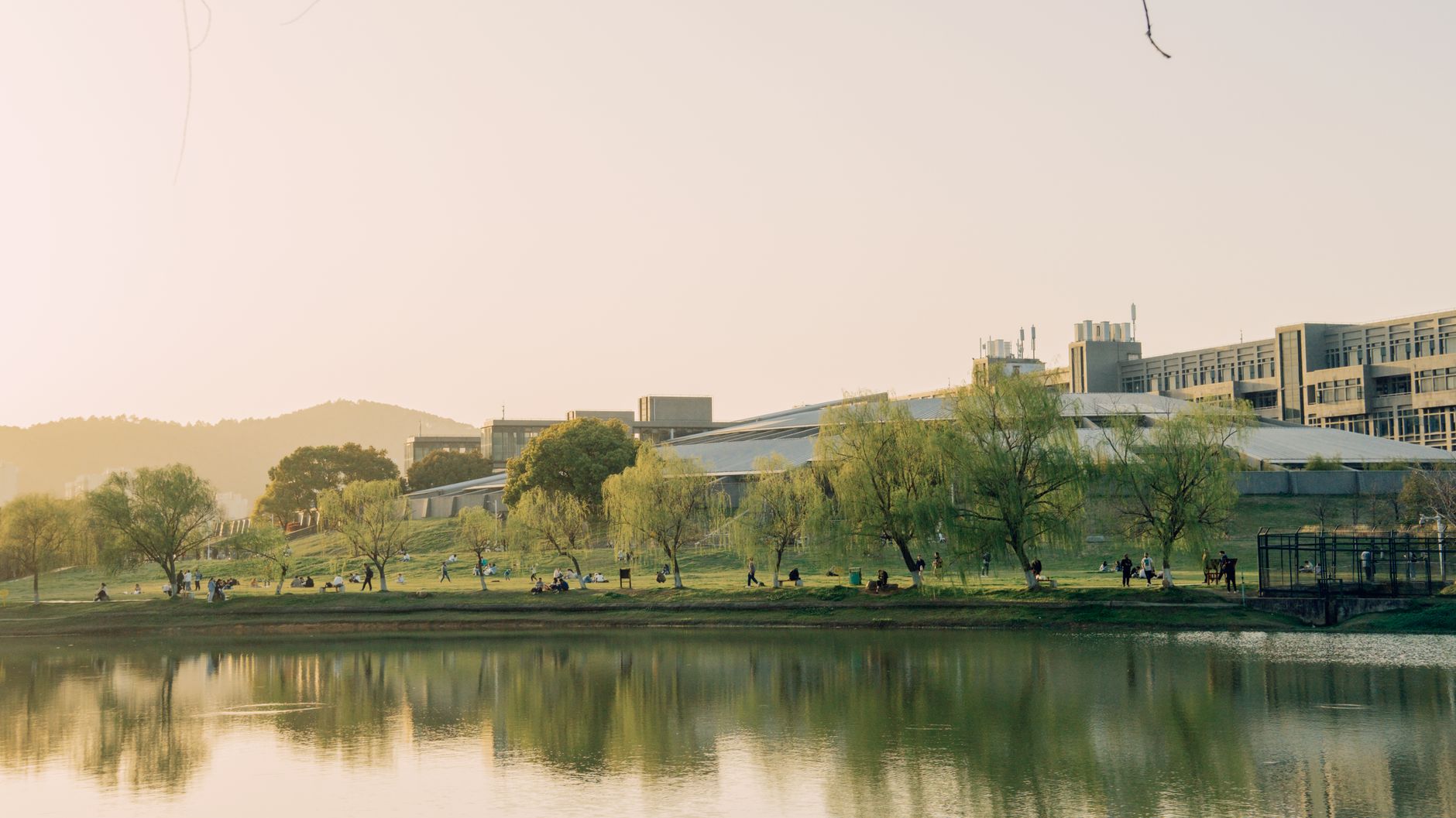 学术研究资料