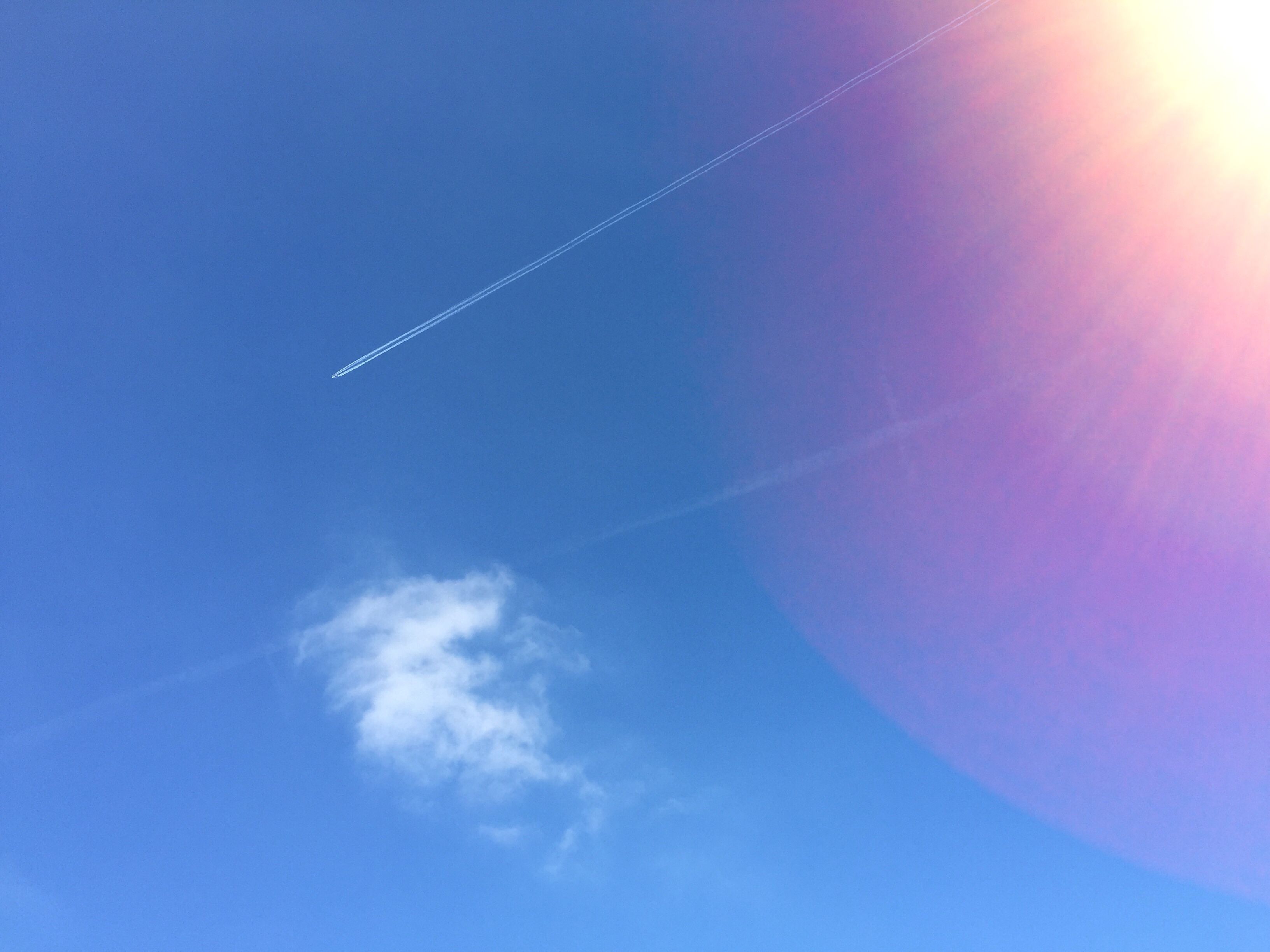 新西兰留学