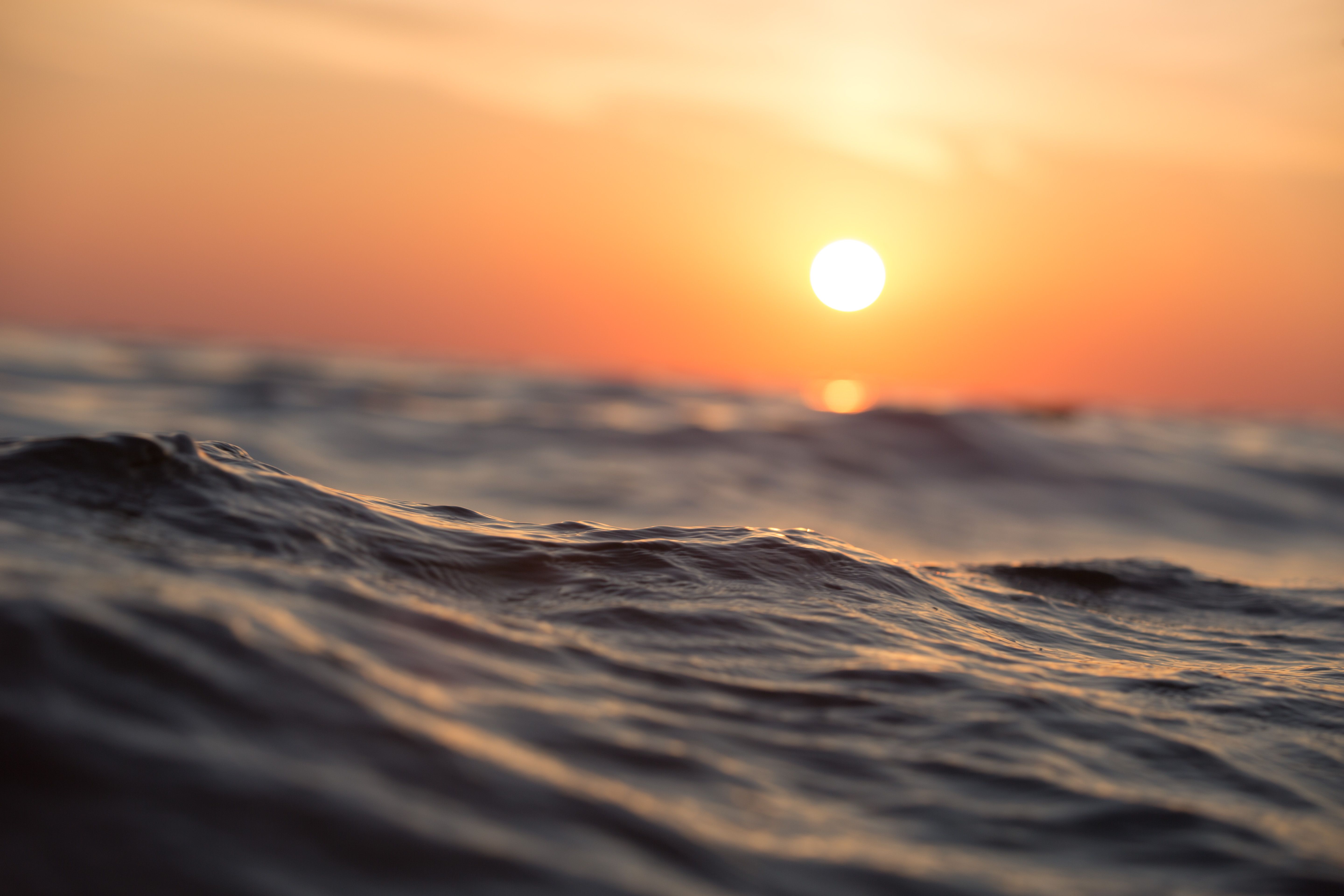 新西兰留学